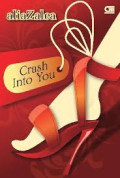 Crash Into You